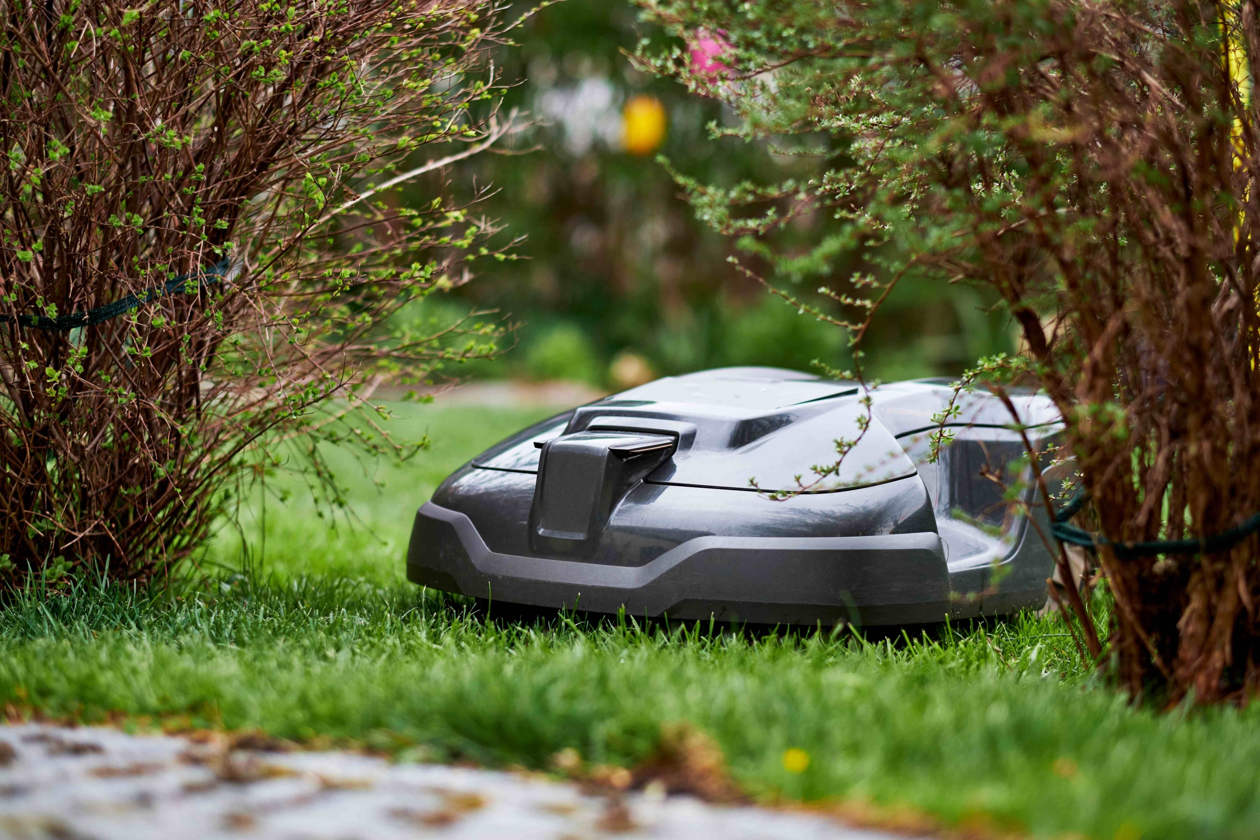 Robot lawnmower on strike? We'll take care of that.